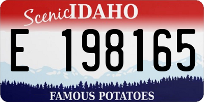 ID license plate E198165