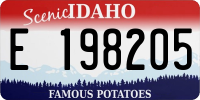 ID license plate E198205