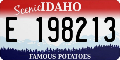 ID license plate E198213
