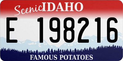 ID license plate E198216