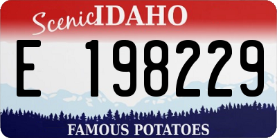 ID license plate E198229