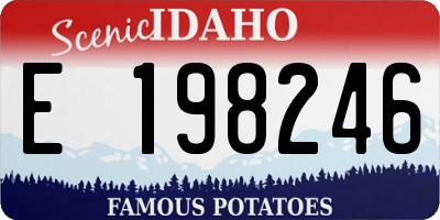 ID license plate E198246
