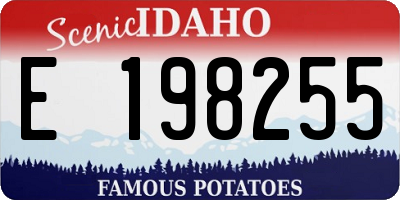 ID license plate E198255