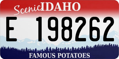 ID license plate E198262