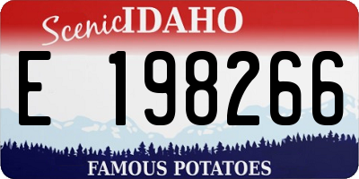 ID license plate E198266