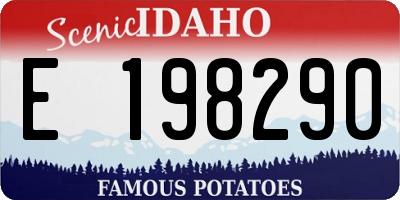 ID license plate E198290