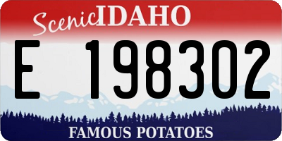 ID license plate E198302
