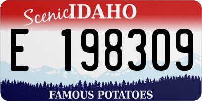 ID license plate E198309