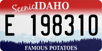 ID license plate E198310