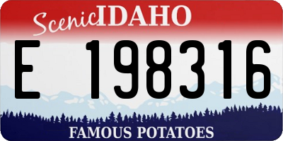 ID license plate E198316