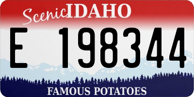 ID license plate E198344