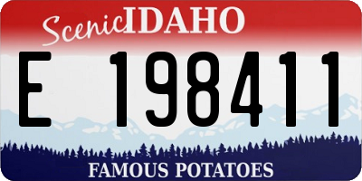ID license plate E198411