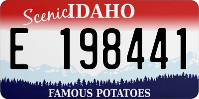 ID license plate E198441