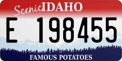 ID license plate E198455