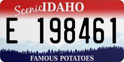 ID license plate E198461