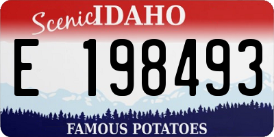 ID license plate E198493