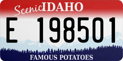 ID license plate E198501
