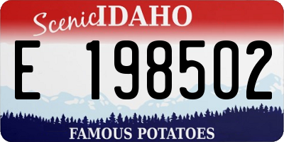 ID license plate E198502