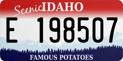 ID license plate E198507