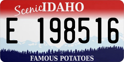 ID license plate E198516