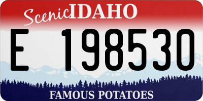 ID license plate E198530