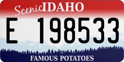 ID license plate E198533