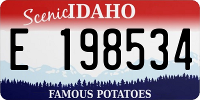ID license plate E198534