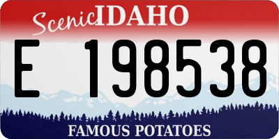 ID license plate E198538