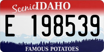 ID license plate E198539