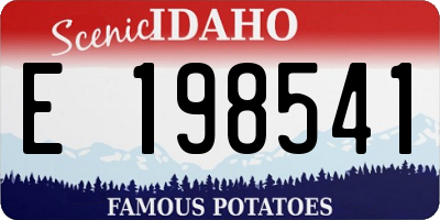 ID license plate E198541