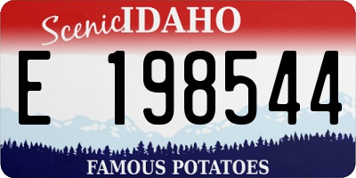 ID license plate E198544
