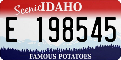 ID license plate E198545