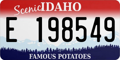 ID license plate E198549