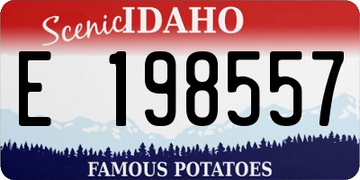 ID license plate E198557