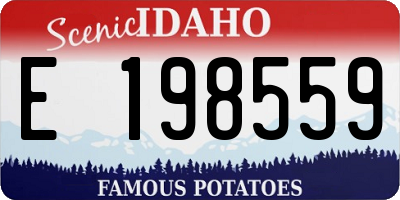 ID license plate E198559