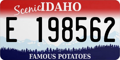 ID license plate E198562
