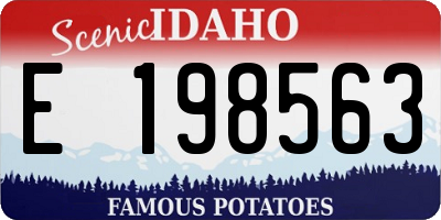 ID license plate E198563