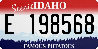 ID license plate E198568