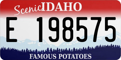 ID license plate E198575