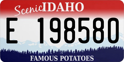 ID license plate E198580