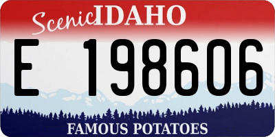 ID license plate E198606