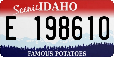 ID license plate E198610