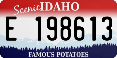 ID license plate E198613