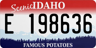 ID license plate E198636