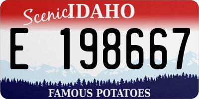 ID license plate E198667