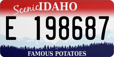 ID license plate E198687