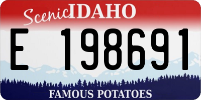ID license plate E198691