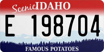 ID license plate E198704