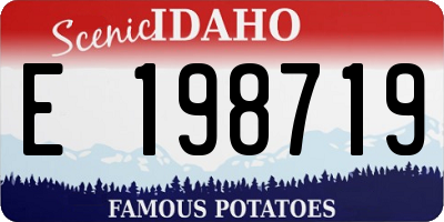 ID license plate E198719