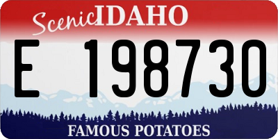 ID license plate E198730